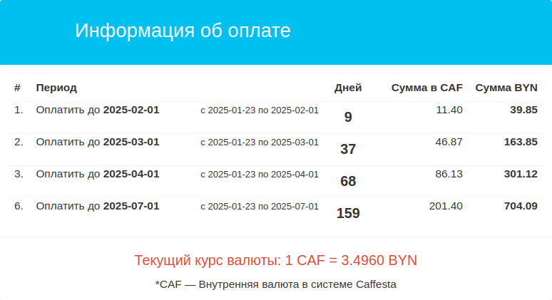 Рис. 2. Вкладка «Информация об оплате»