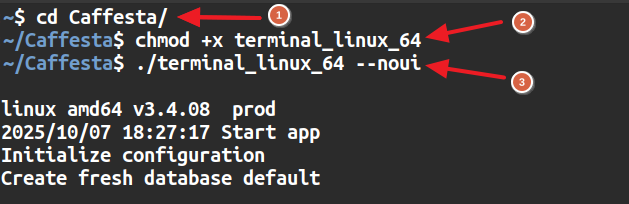 Рис. 2. Запуск Caffesta на Linux